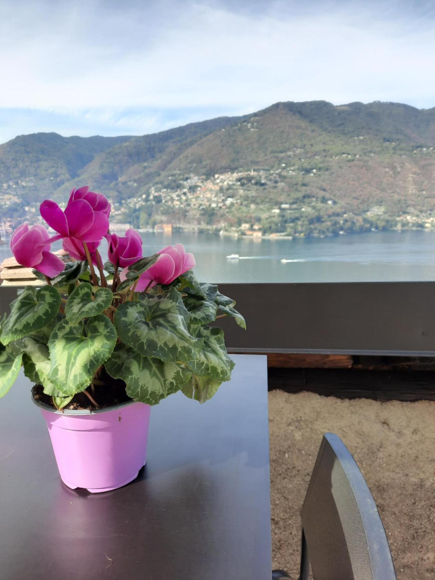 Luxury Room La Terrazza Sul Lago Di Como Blevio Exterior foto